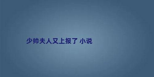 少帅夫人又上报了 小说
